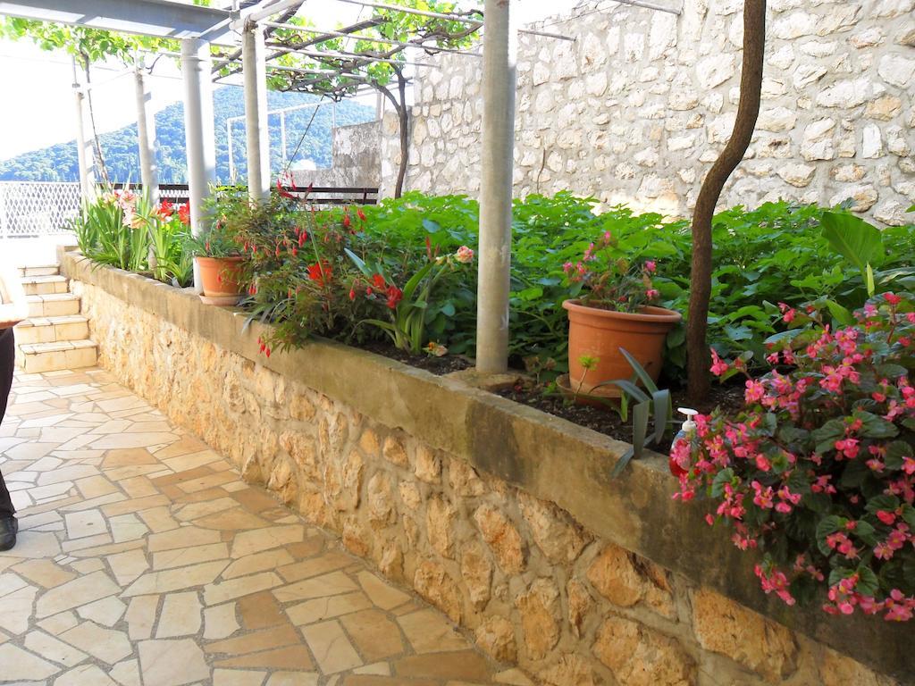 Guesthouse Niko دوبروفينك المظهر الخارجي الصورة
